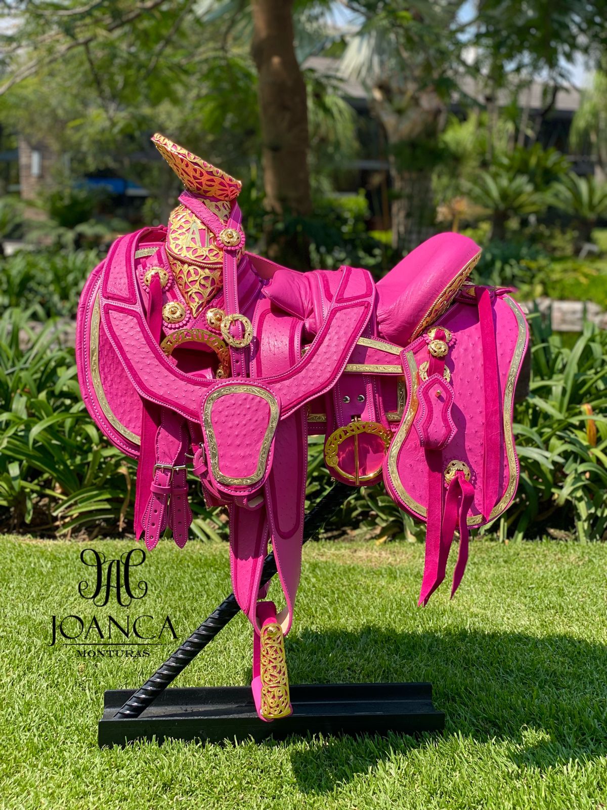 Montura Exótica