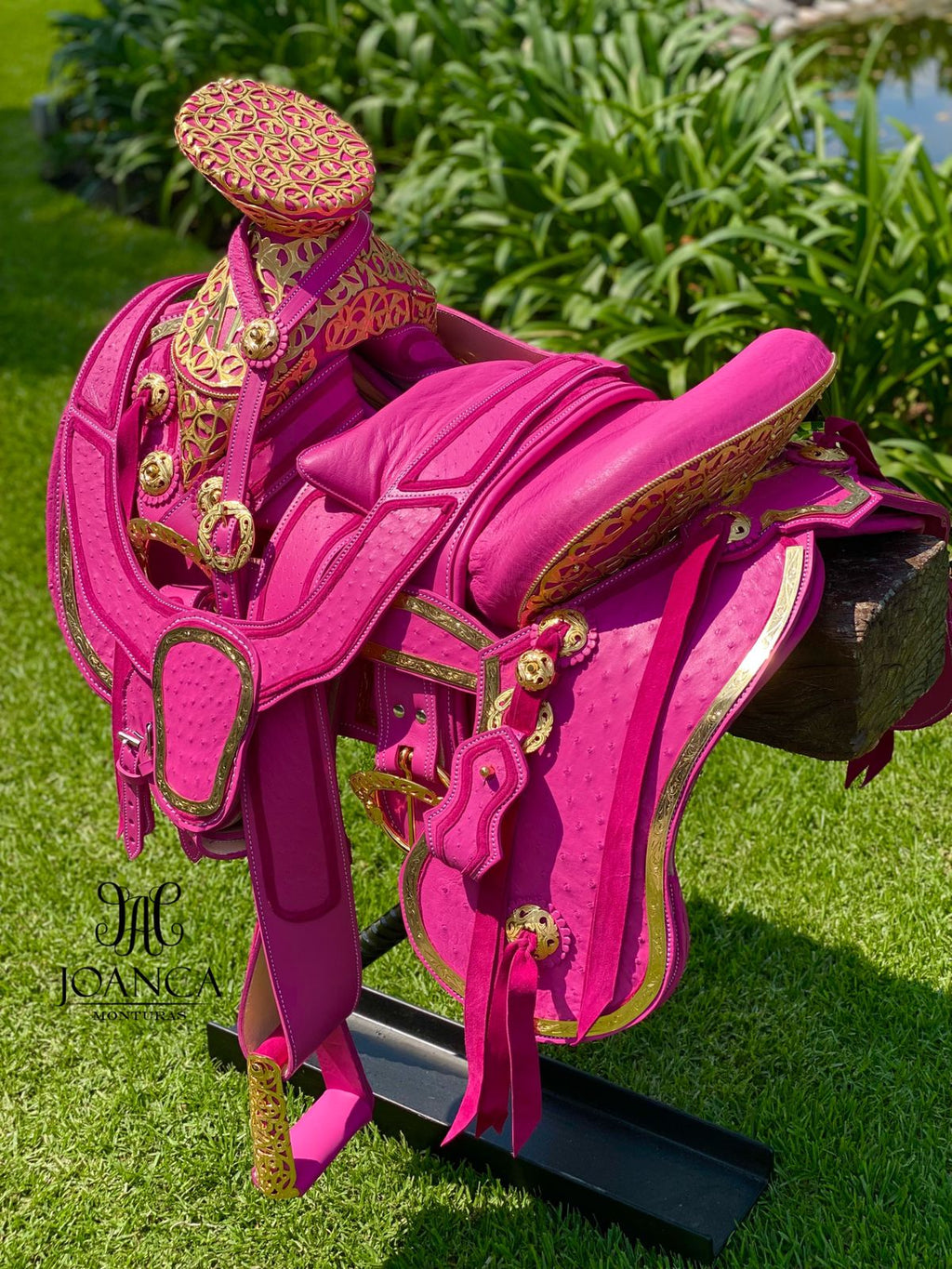 Montura Exótica