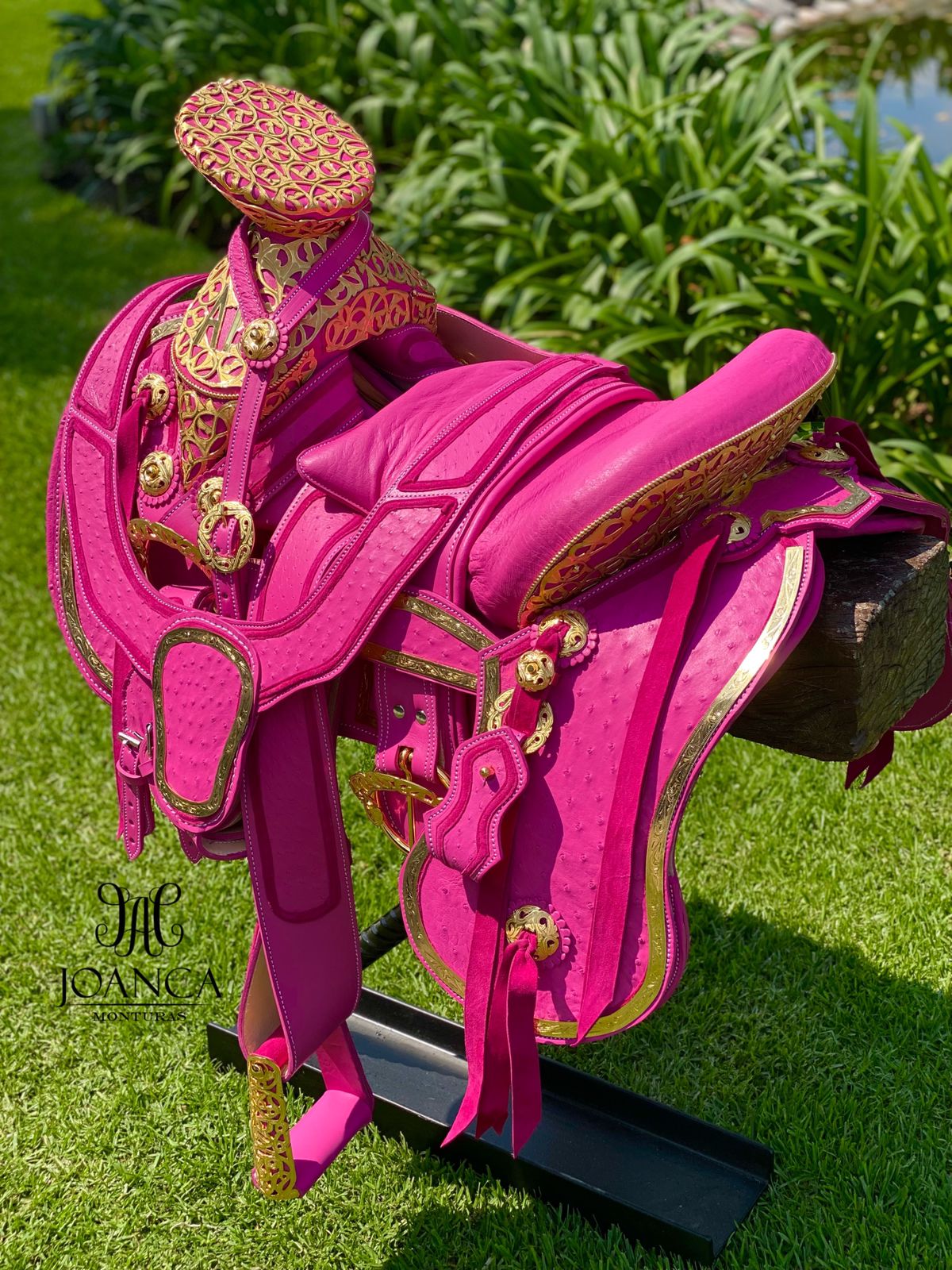 Montura Exótica