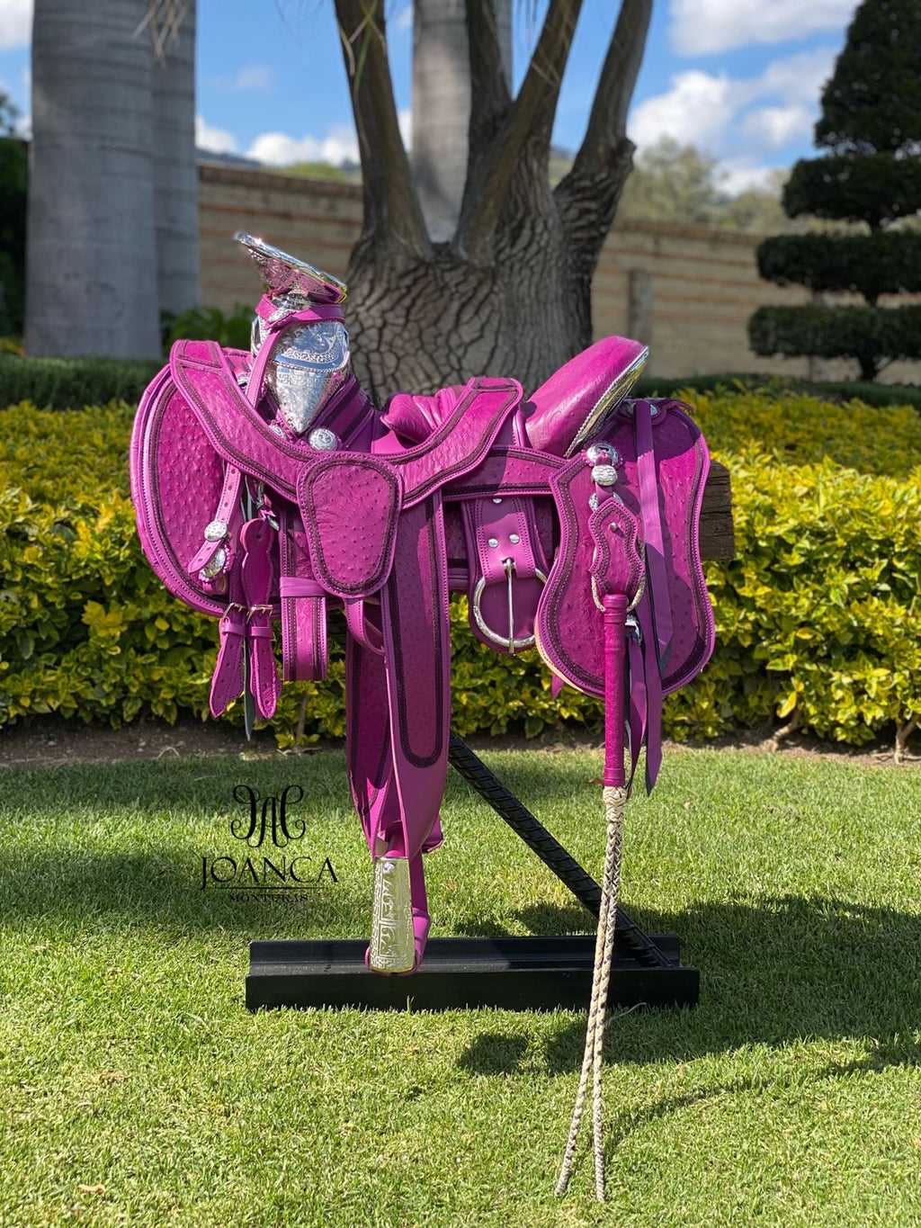 Montura Exotica