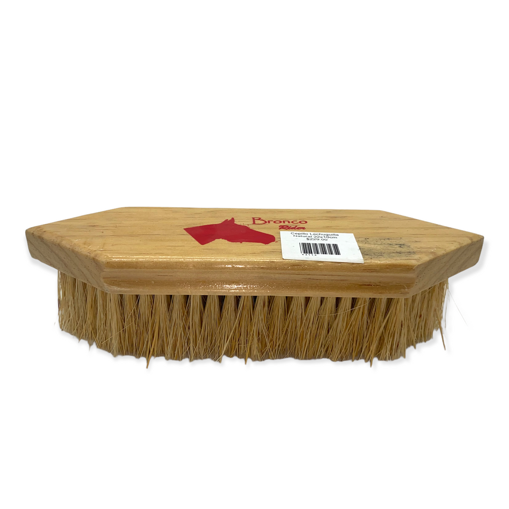Cepillo Lechugilla Natural 22x10