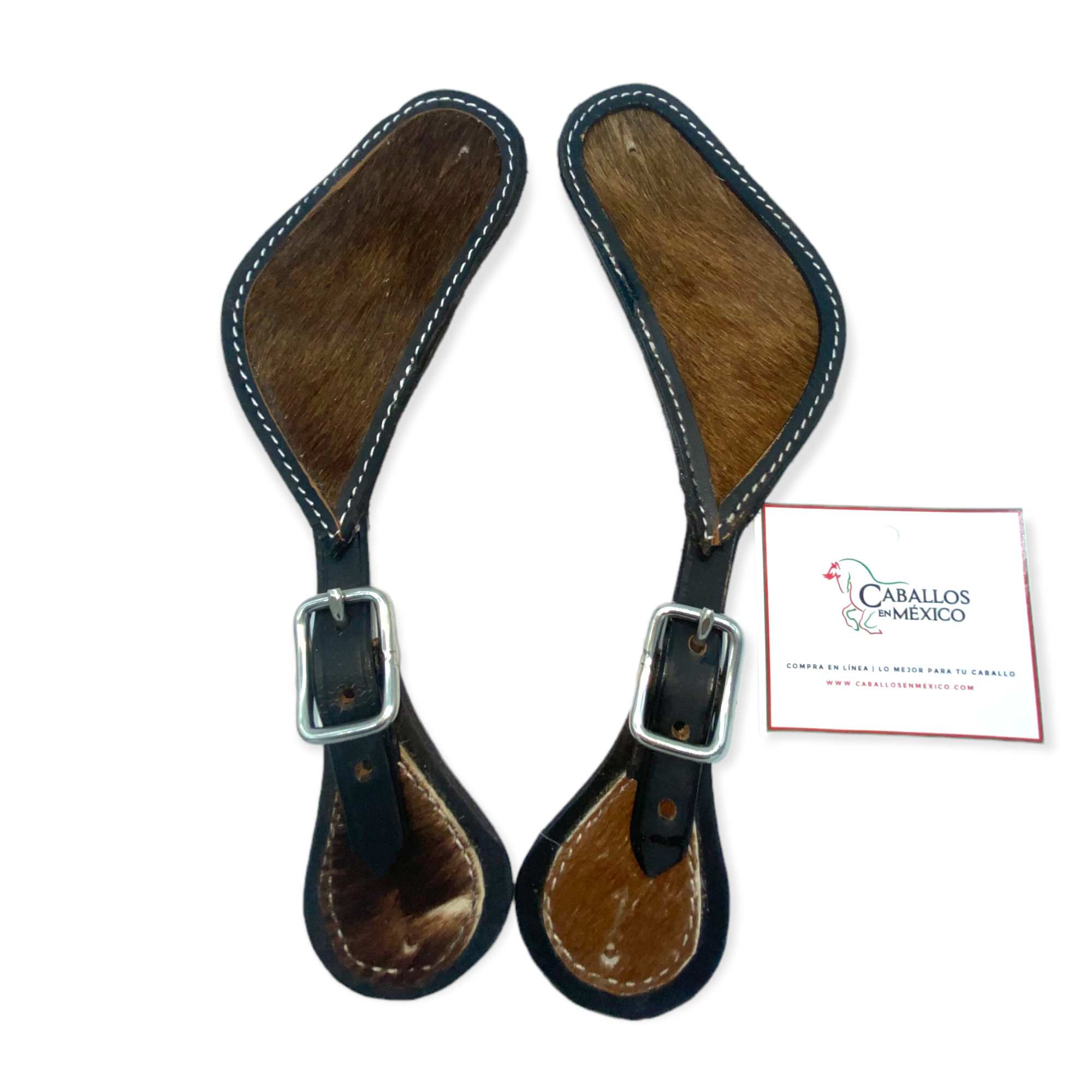 Correllon Texano Pelo