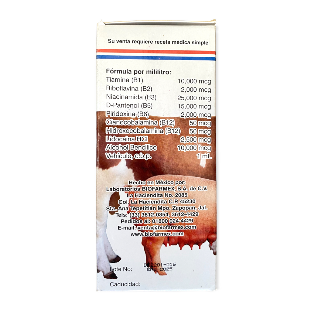 VitaCom B 10 ML